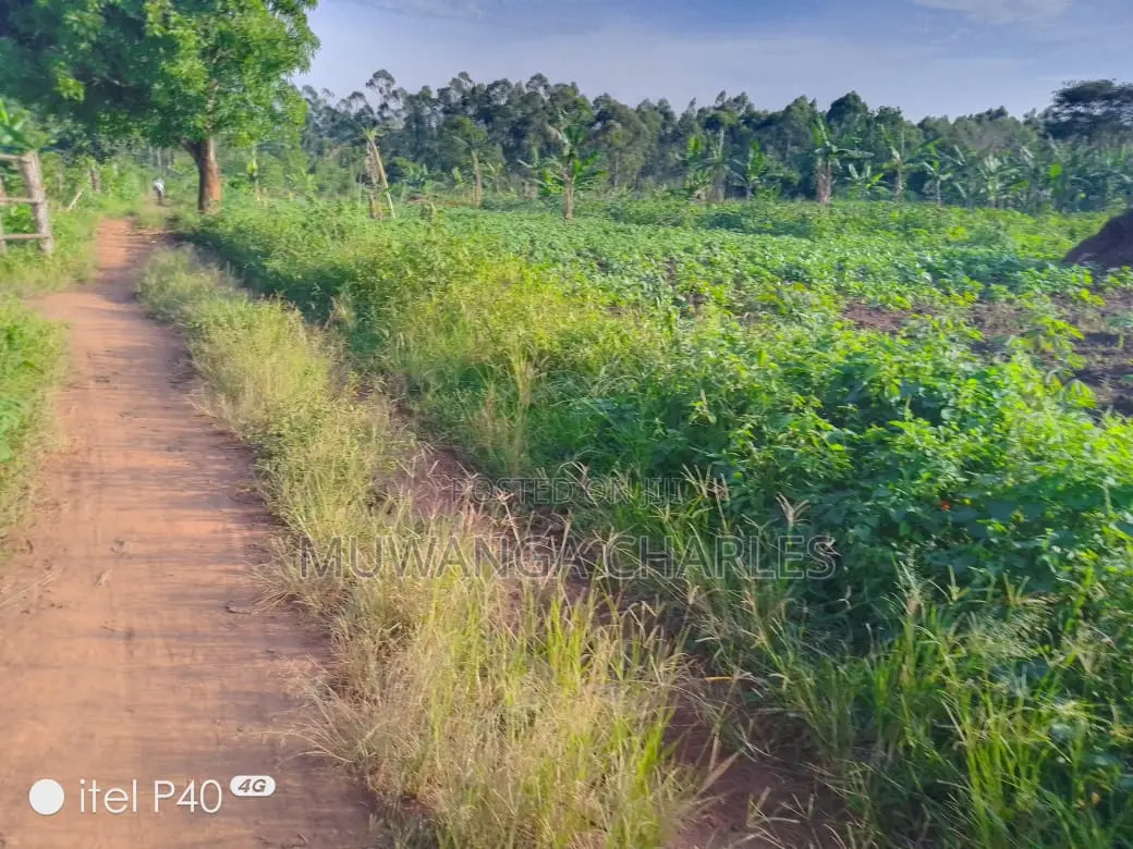 2acres of Land for Sale in Wabutungulu