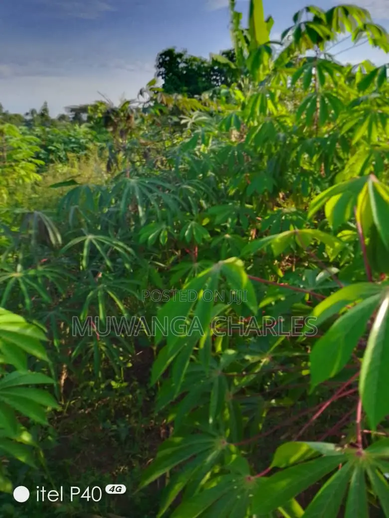 2acres of Land for Sale in Wabutungulu