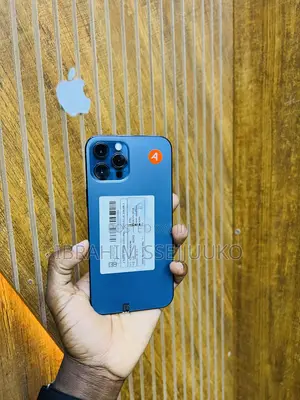 Apple iPhone 12 Pro Max 256 GB Blue