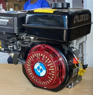 OLONZO 9hp Petrol Engine