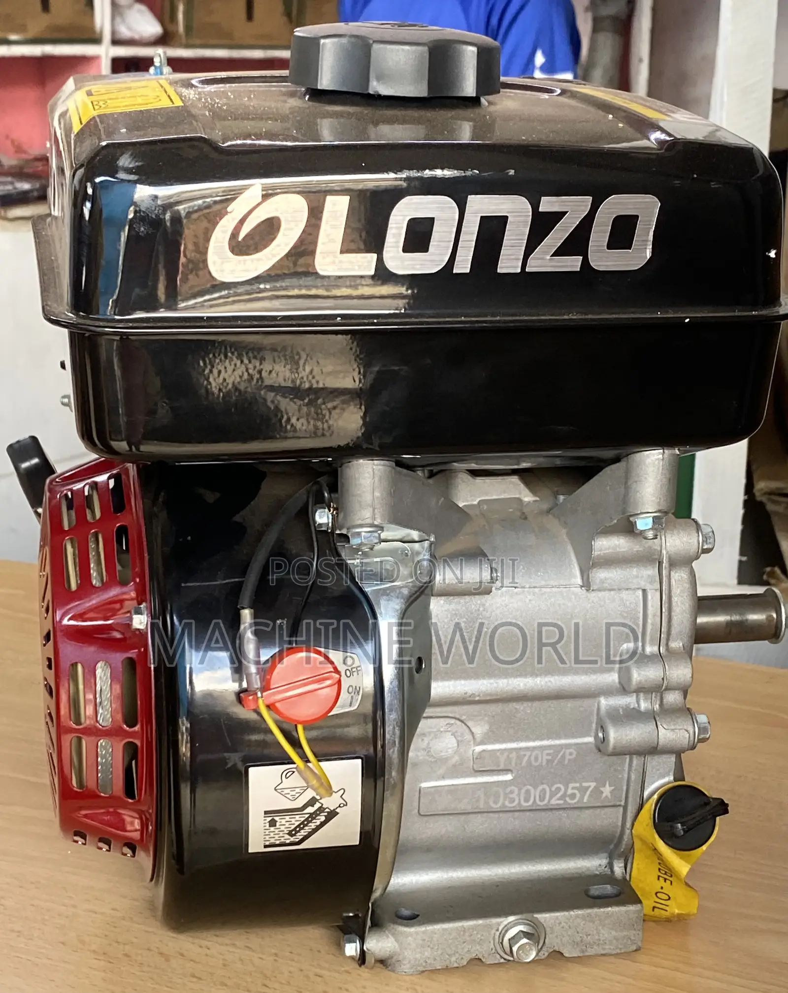 OLONZO 9hp Petrol Engine