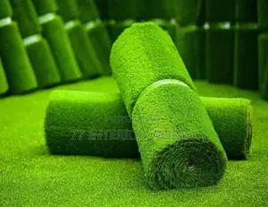 Artificial Grass Carpets/ Grass Carpets