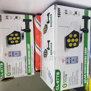 Solar Monitoring Lamp
