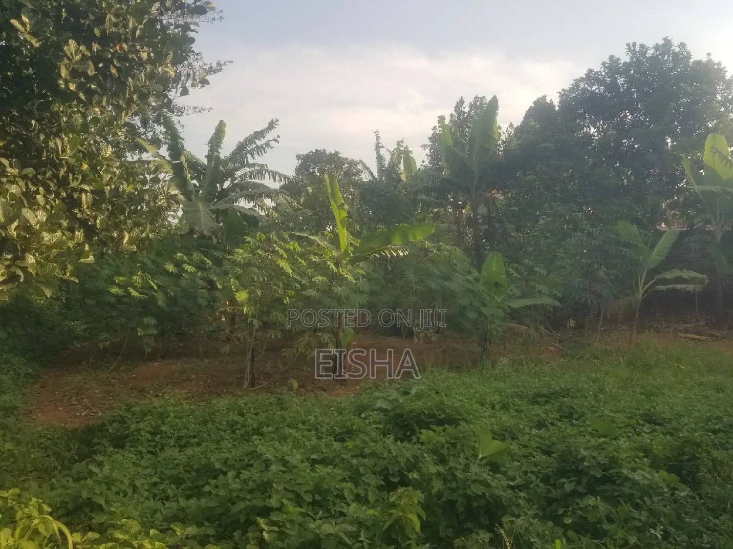 Plot on Sell