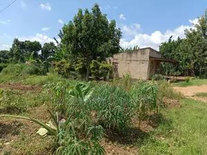 Plot for Sale in Namugongo