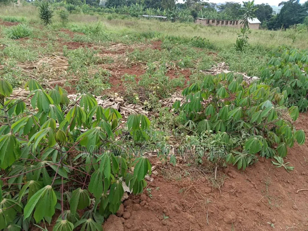 Plot for Sale in Namugongo