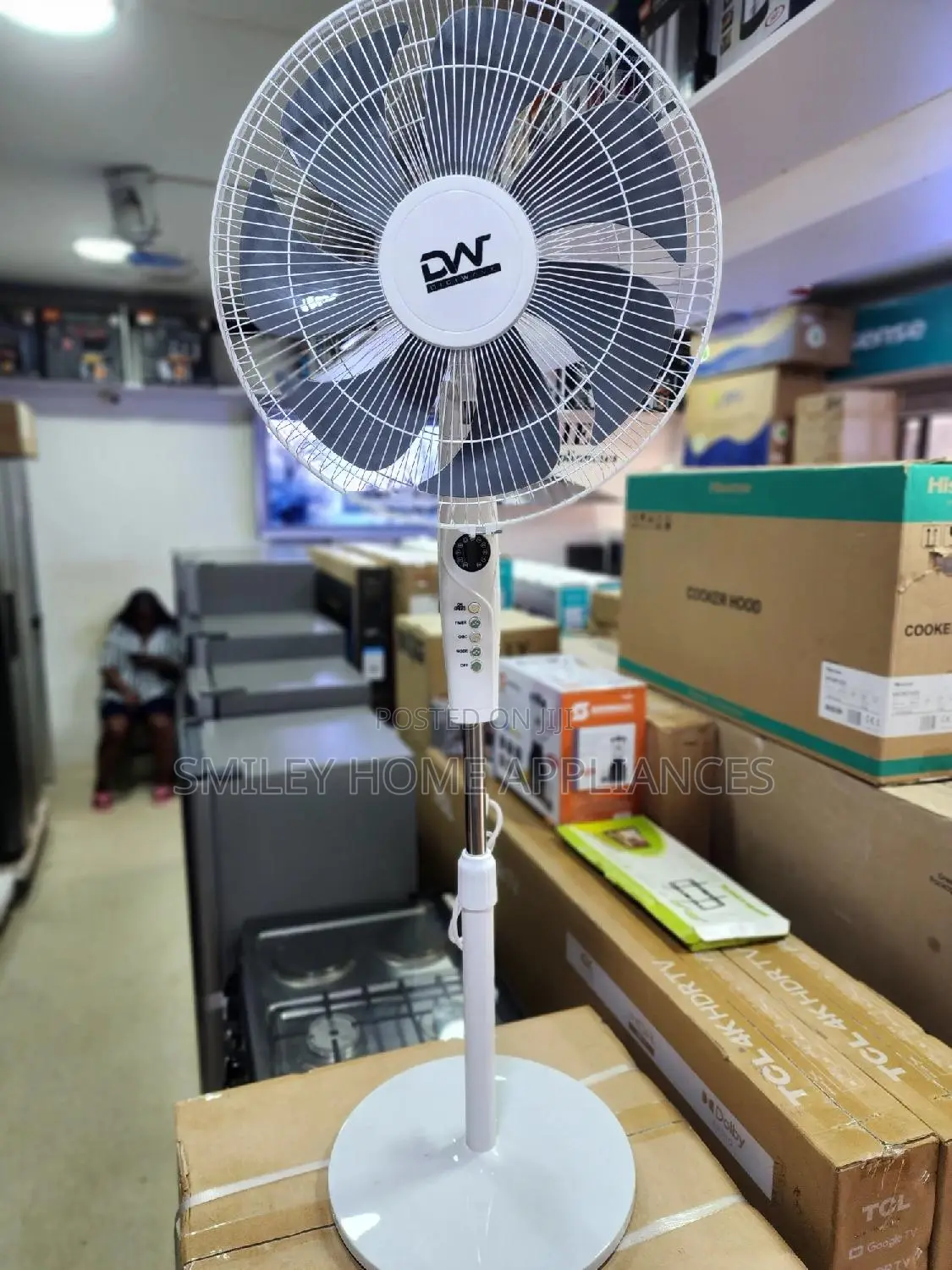 DW Stand Fan