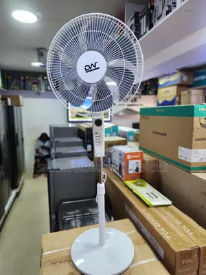 DW Stand Fan