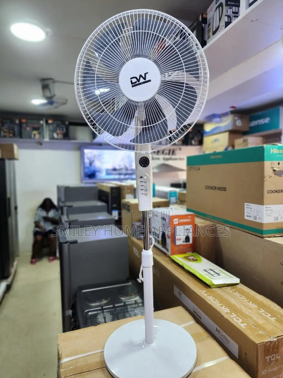 Brand Nnew DW Stand Fan