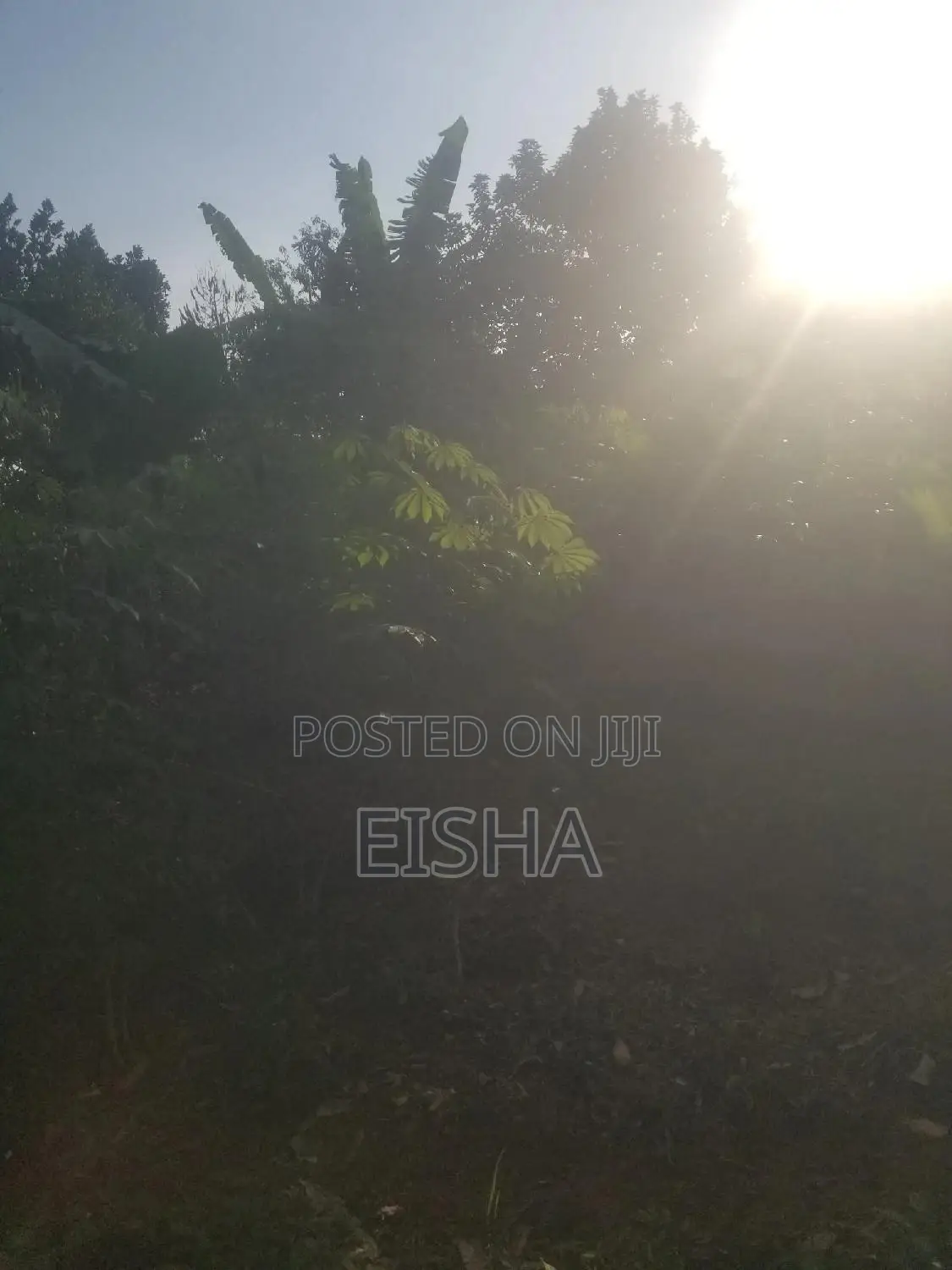 Plot on Sell