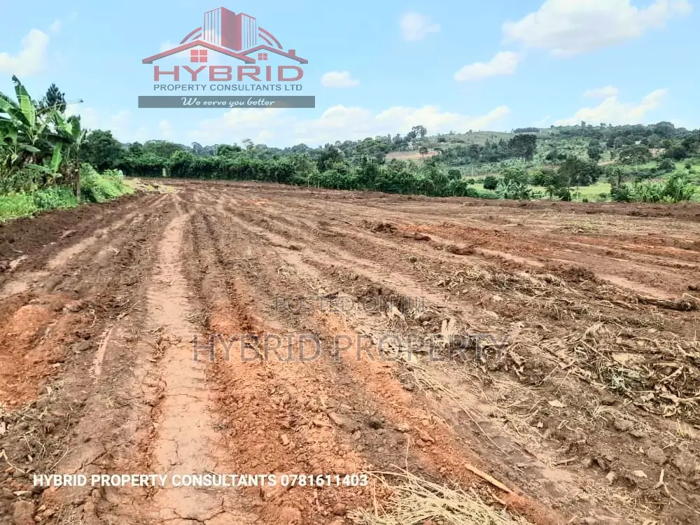 Prime Plots For Sale At Busukuma~Nabutiti Along Gayaza Road.