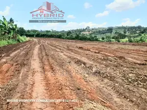 Prime Plots For Sale At Busukuma~Nabutiti Along Gayaza Road.