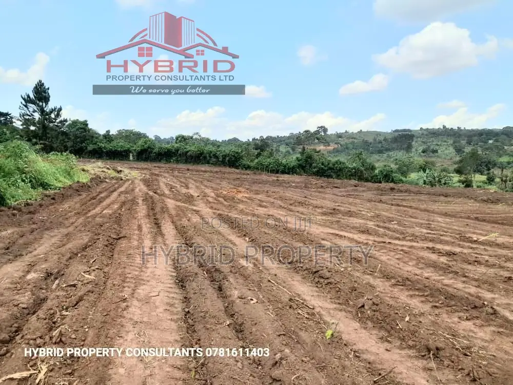 Prime Plots For Sale At Busukuma~Nabutiti Along Gayaza Road.