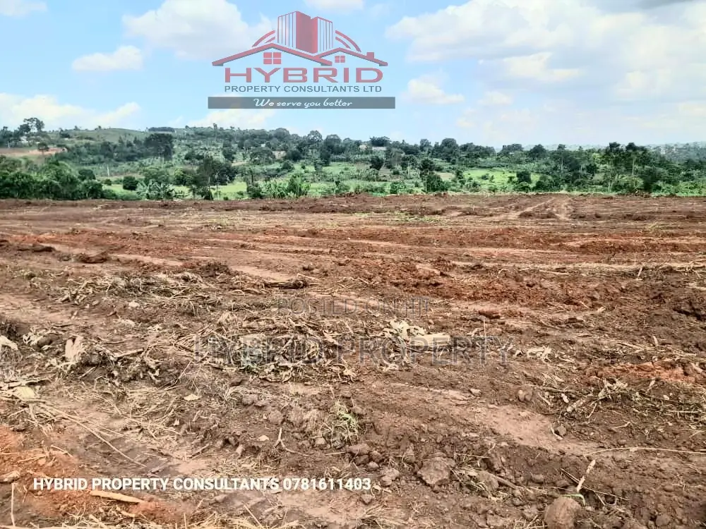 Prime Plots For Sale At Busukuma~Nabutiti Along Gayaza Road.