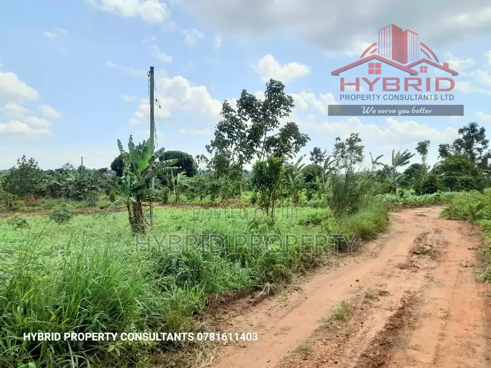 Prime Plots For Sale At Busukuma~Nabutiti Along Gayaza Road.