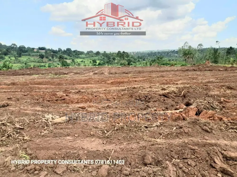 Prime Plots For Sale At Busukuma~Nabutiti Along Gayaza Road.