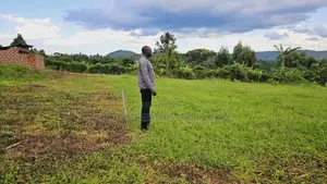 At Only 3 Million Own a Plot of Land at Kakiri Namayumba