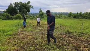 At Only 3 Million Own a Plot of Land at Kakiri Namayumba
