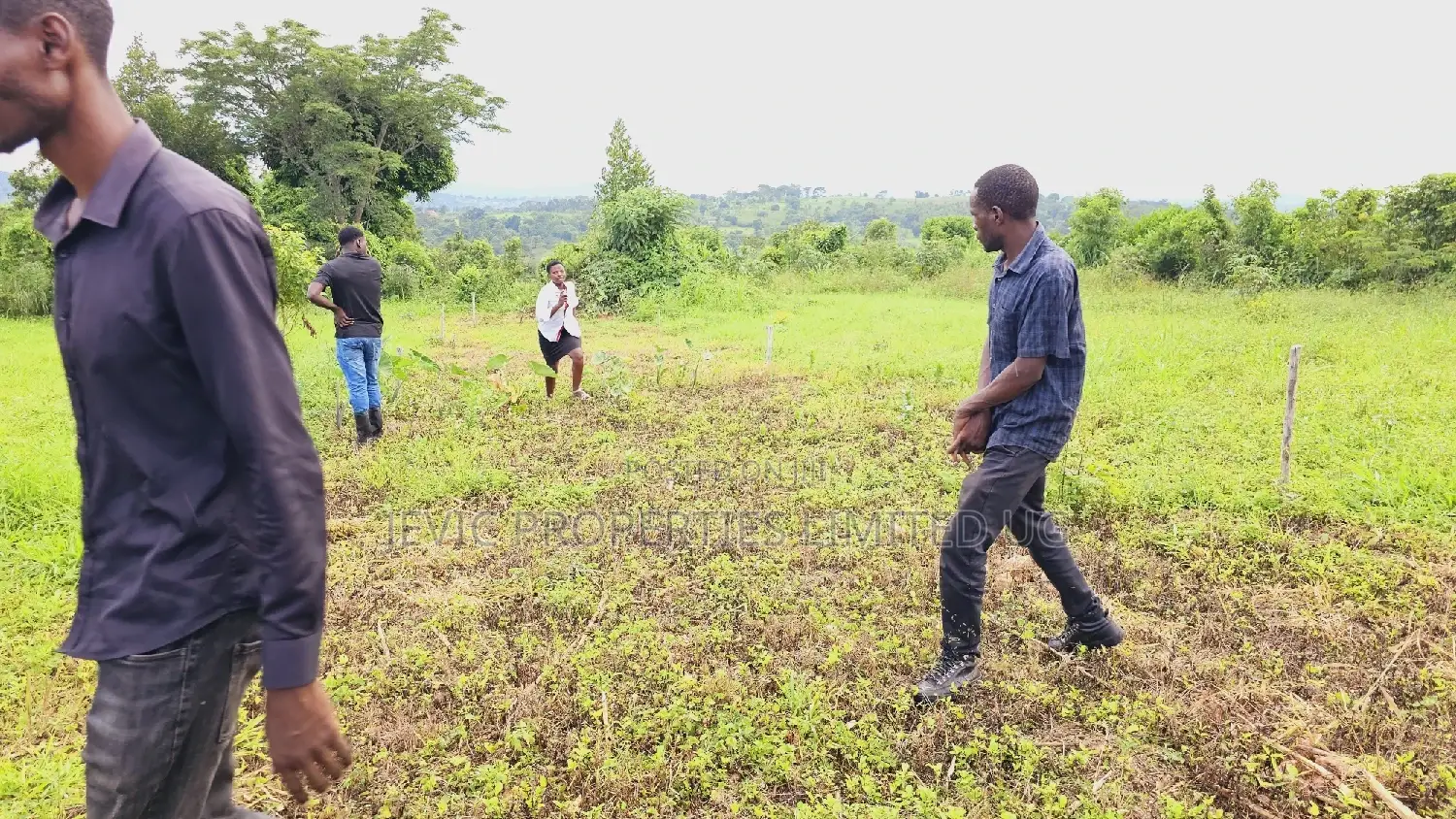 At Only 3 Million Own a Plot of Land at Kakiri Namayumba