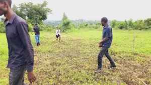 At Only 3 Million Own a Plot of Land at Kakiri Namayumba