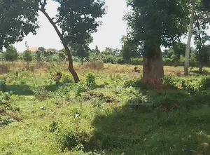 Plot for Sale at Entebbe