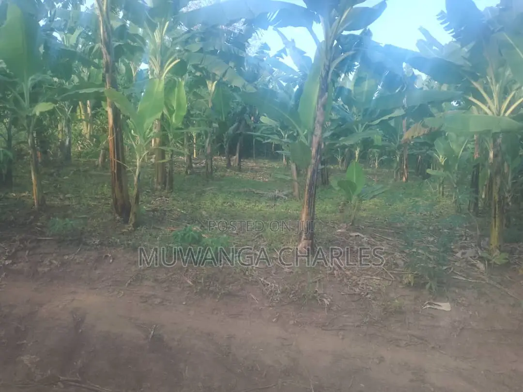 Plot for Sale at Entebbe