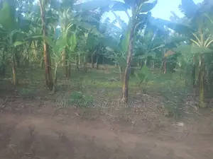 Plot for Sale at Entebbe