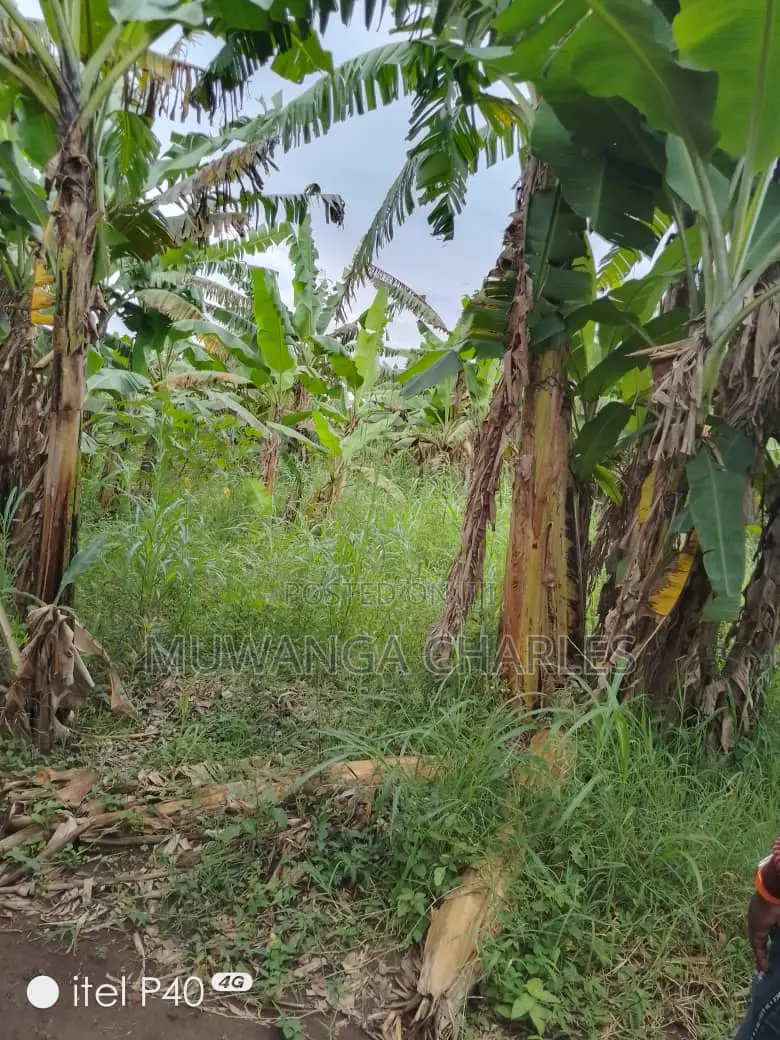 Plot for Sale at Entebbe
