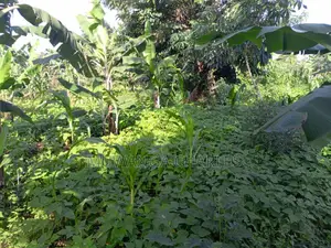 2acres of Land for Sale in Luwero