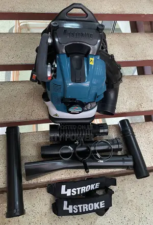 4 Stroke Blower Easy Power