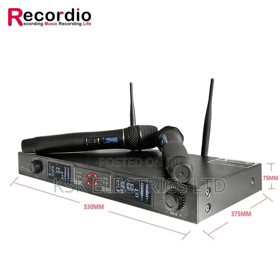 Ak-Q11profressional Wireless Microphone