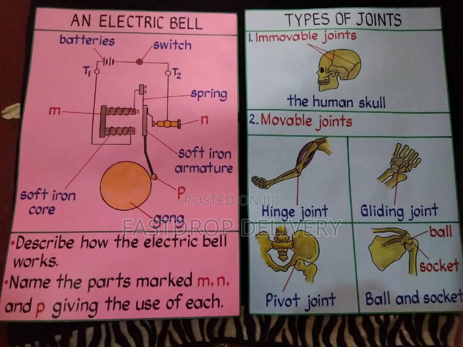 School Manilla Charts