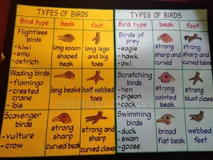 School Manilla Charts
