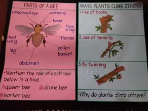 School Manilla Charts