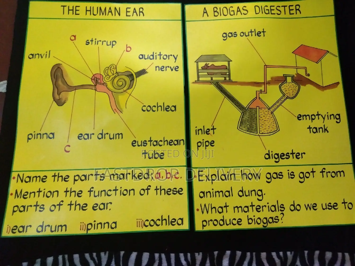 School Manilla Charts