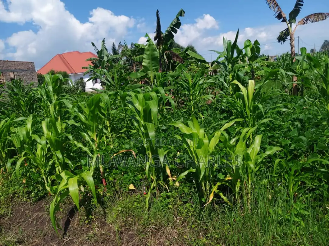 12decimals of Land for Sale in Kira