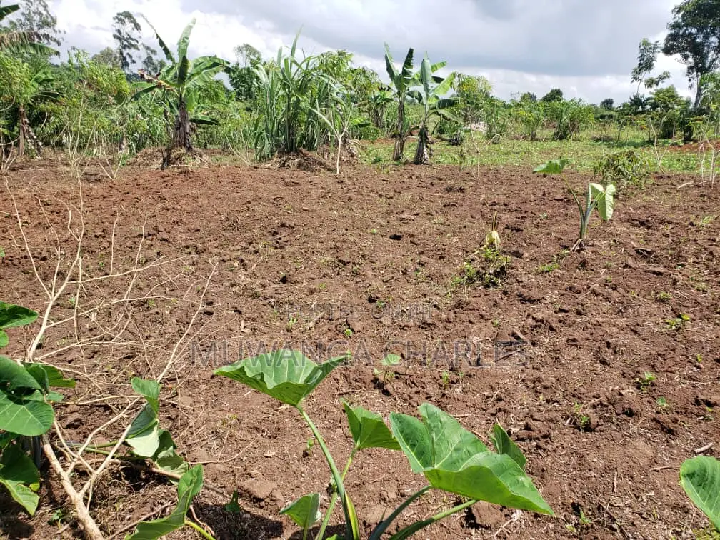 Namugongo Plot for Sale