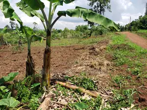 Namugongo Plot for Sale