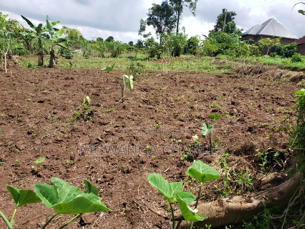 Namugongo Plot for Sale