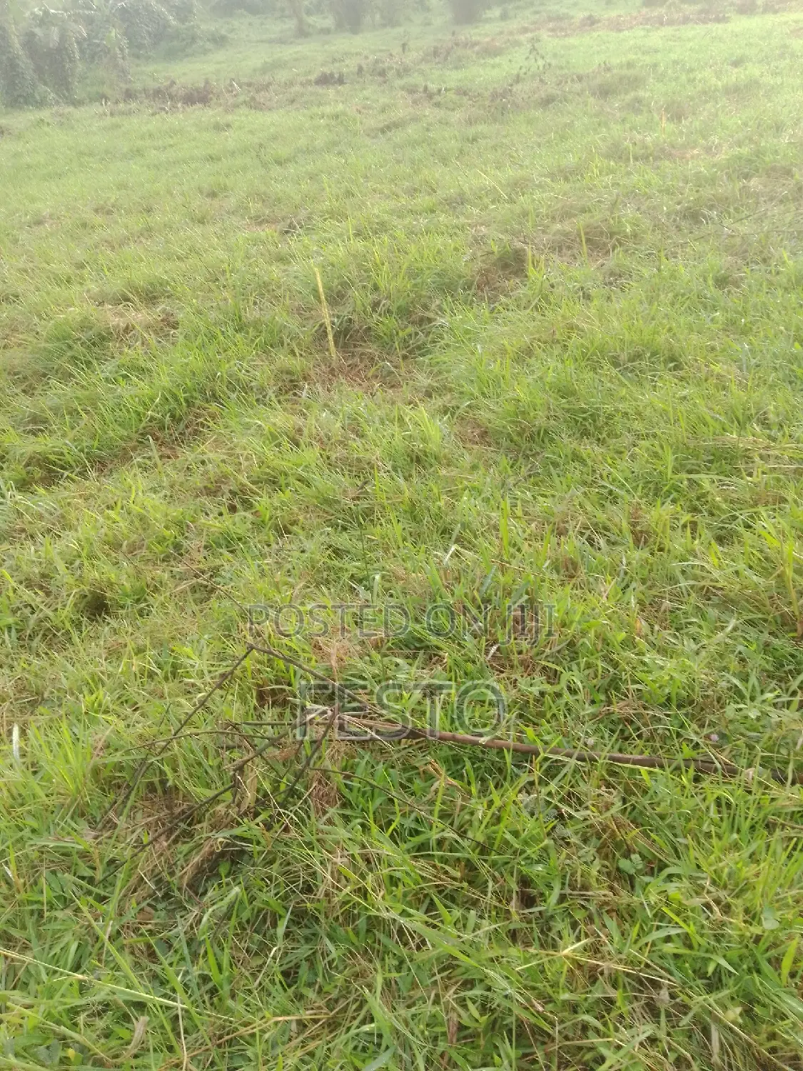 Land on the Highway for Sale