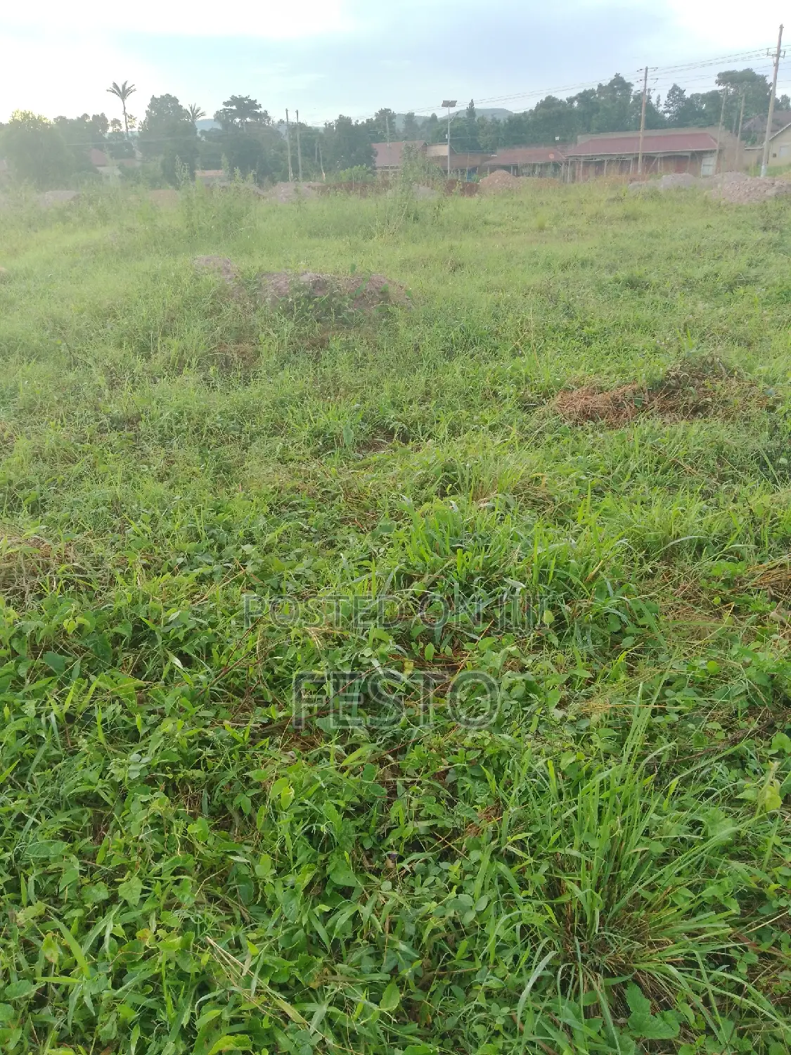 Land on the Highway for Sale