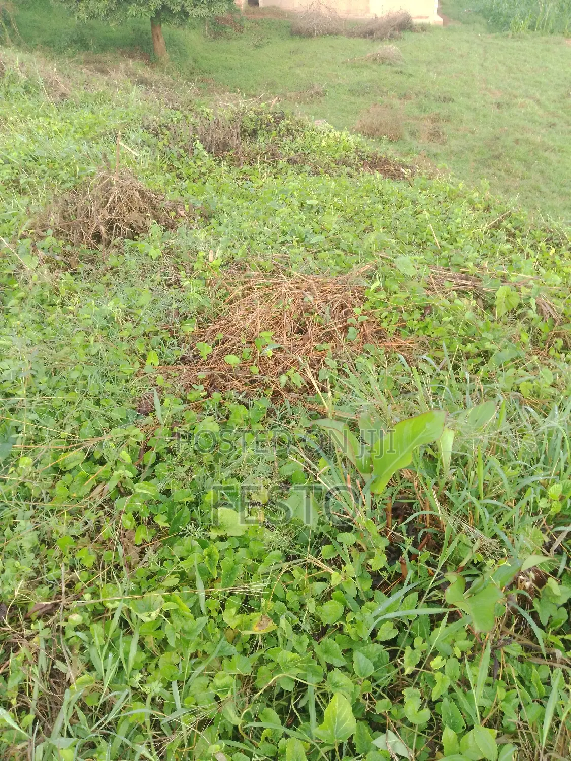 Land on the Highway for Sale