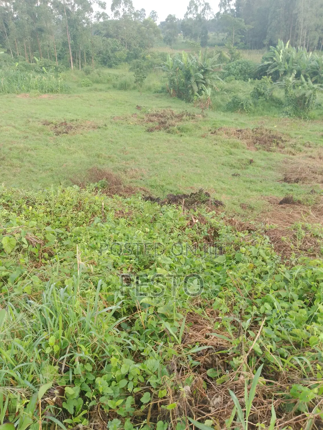 Land on the Highway for Sale
