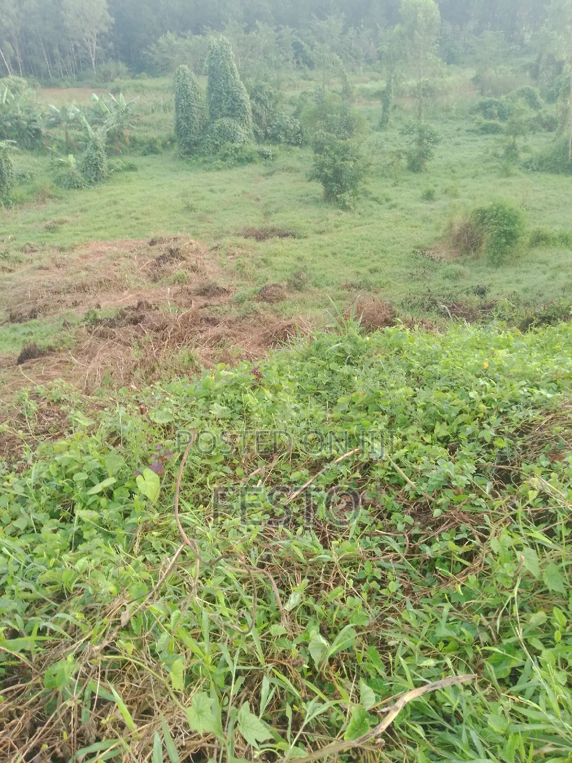 Land on the Highway for Sale