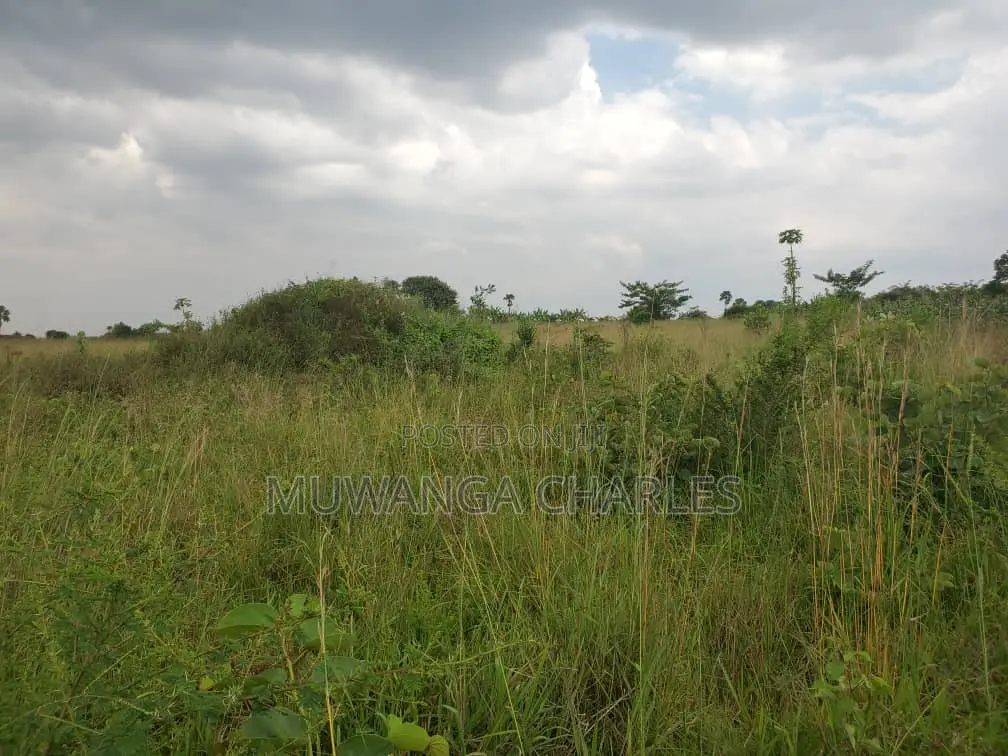 Land for Sale in Nakasongola