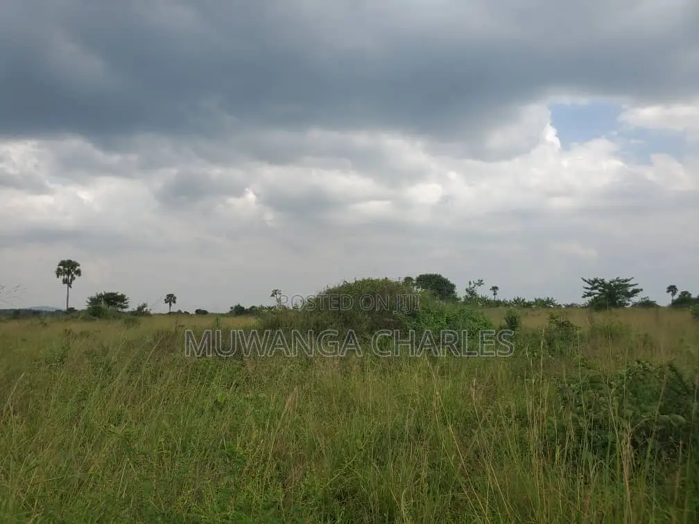 Land for Sale in Nakasongola