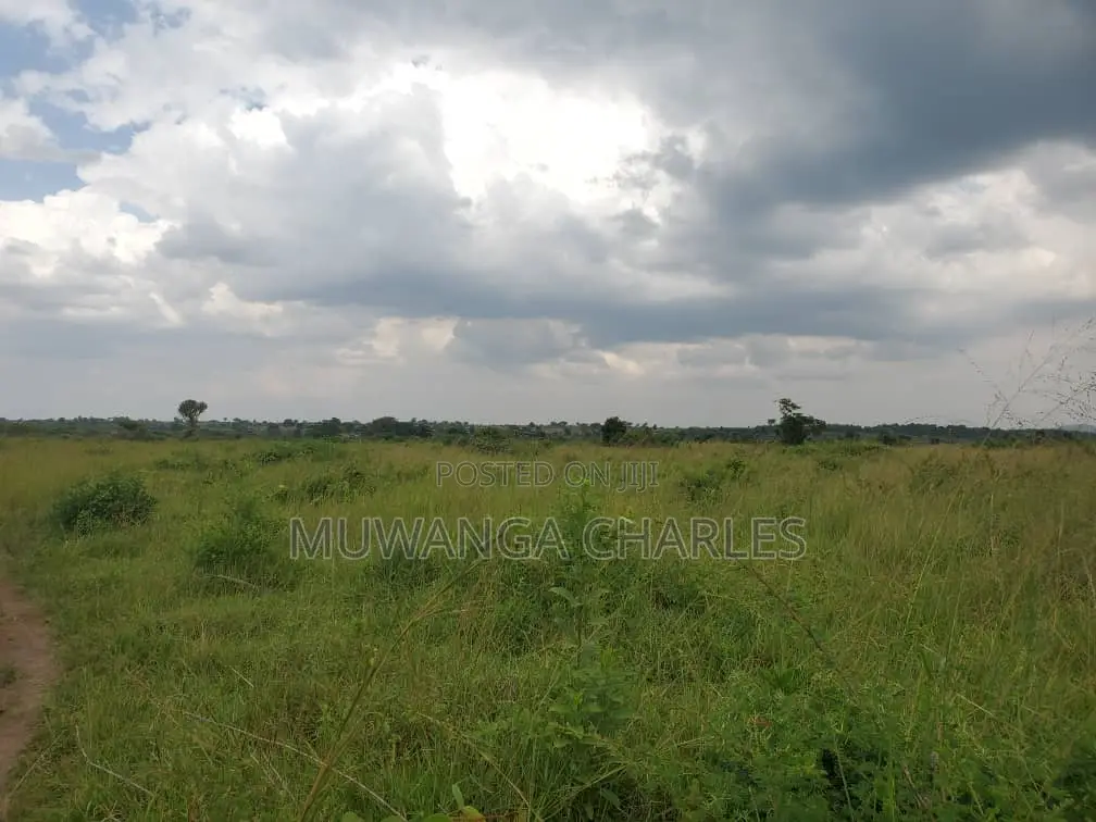 Land for Sale in Nakasongola
