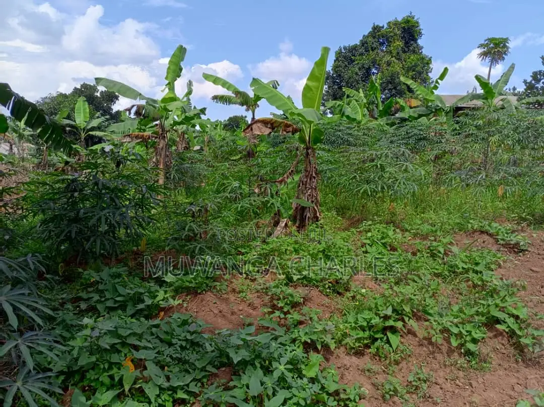 30decimals of Land for Sale at Matuuga