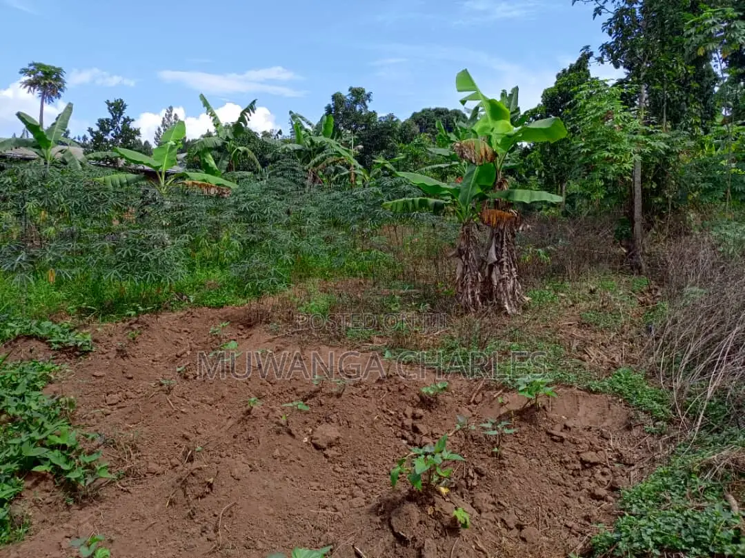 30decimals of Land for Sale at Matuuga