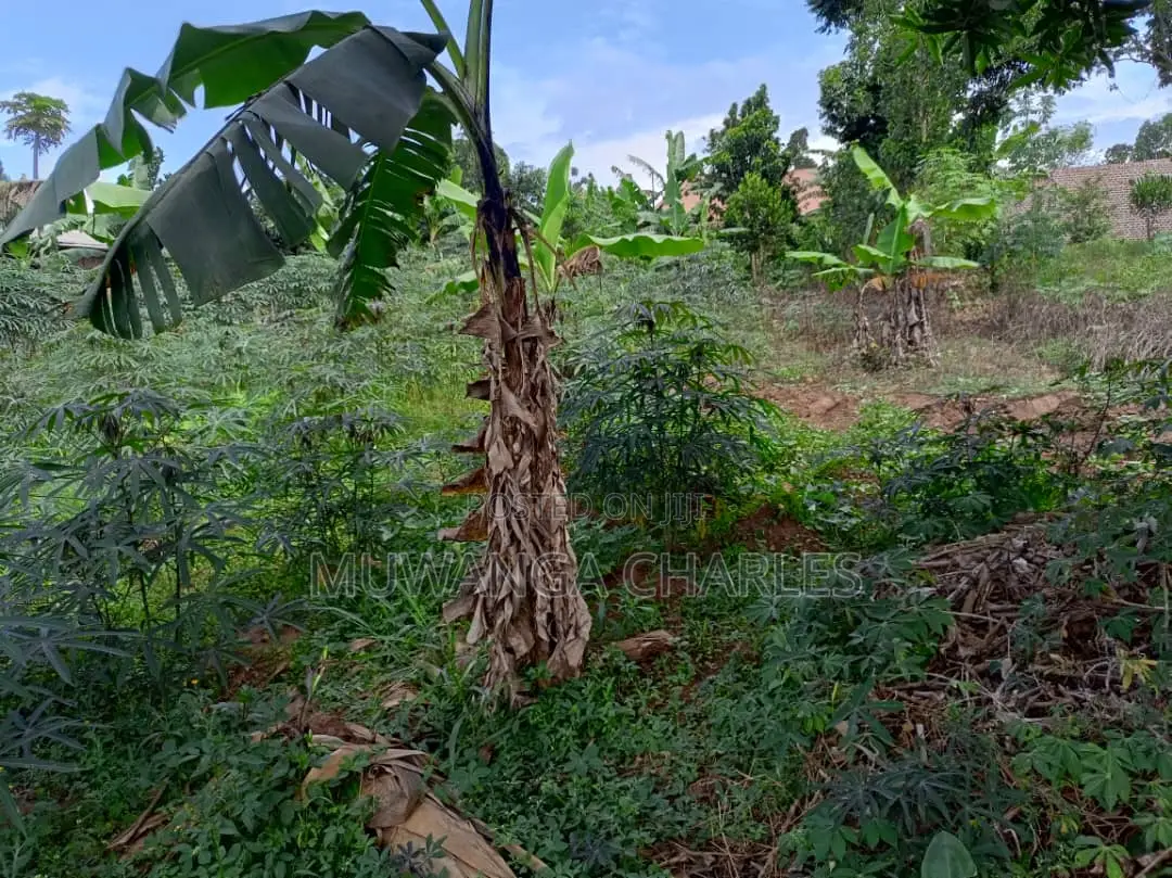 30decimals of Land for Sale at Matuuga